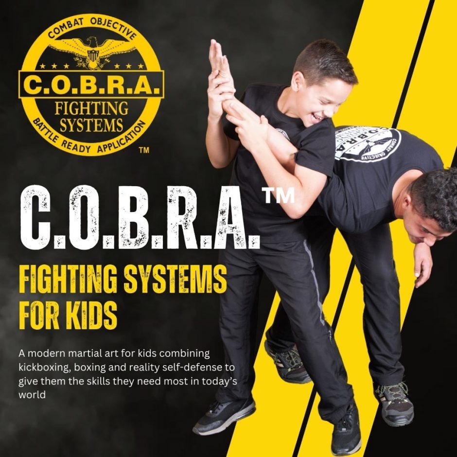 C.O.B.R.A. Fighting Systems For Kids