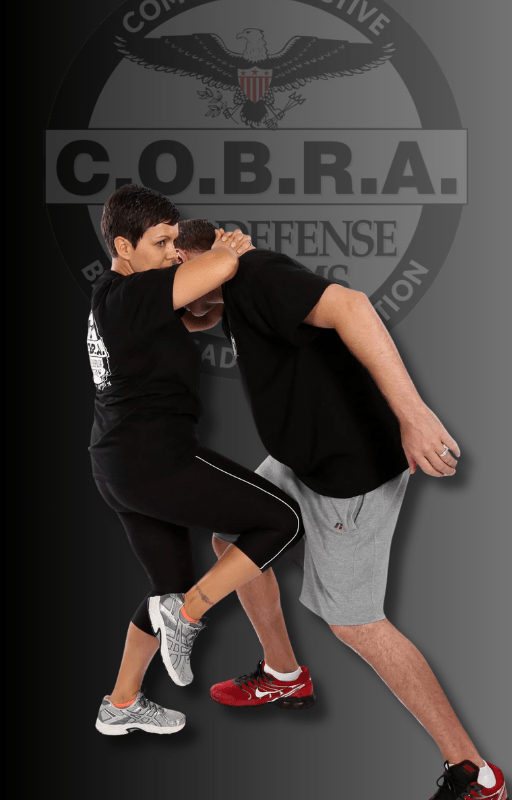 COBRA Corporate Self Defense Training (3)