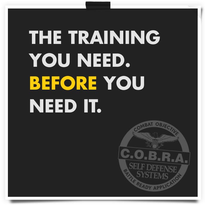 cobra-soundbite-20